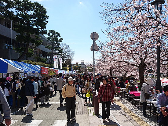 月若橋